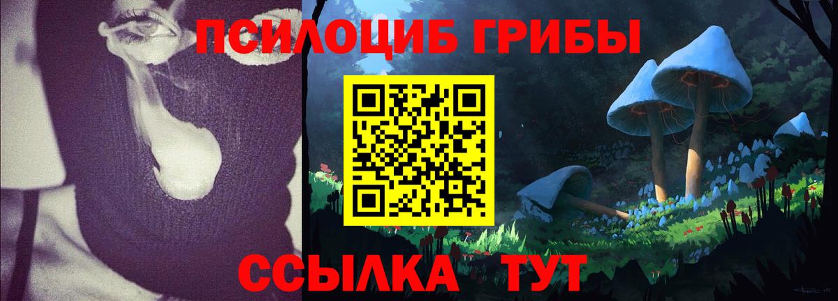 сколько стоит  Кореновск  Псилоцибиновые грибы Psilocybine cubensis 